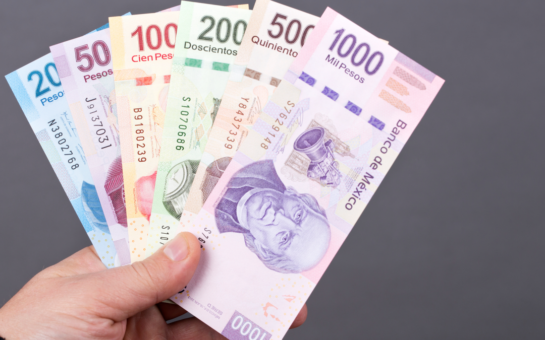 Salario en México: Guía definitiva sobre leyes, derechos y pagos